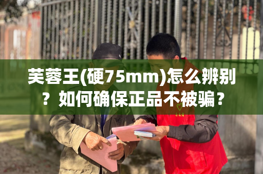 芙蓉王(硬75mm)怎么辨别？如何确保正品不被骗？